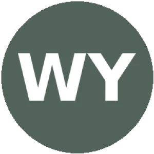 Wu Yibing