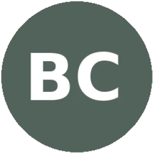 Berfu Cengiz